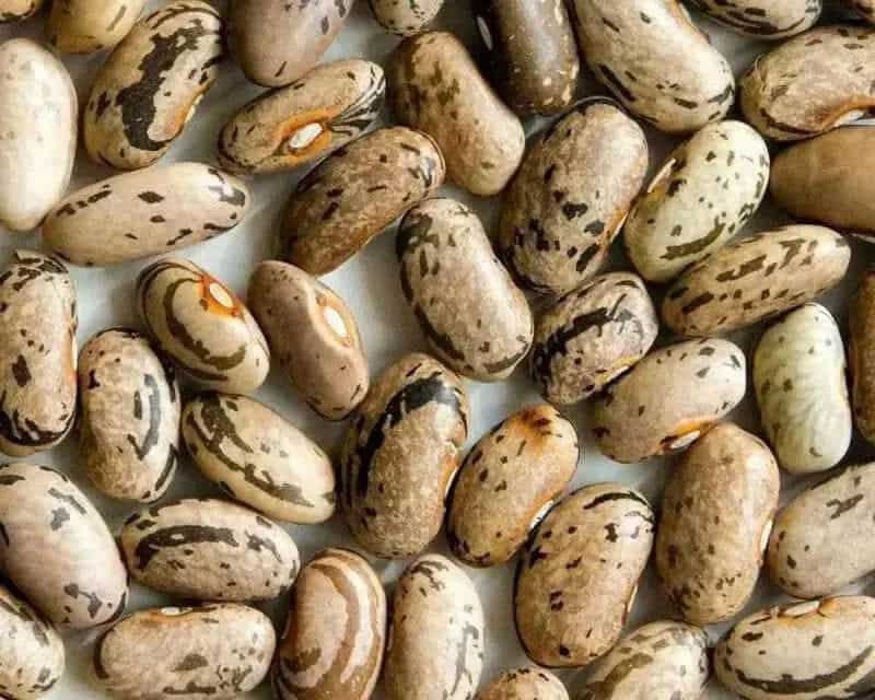 خرید و فروش لوبیا چیتی ارزان با شرایط فوق العاده